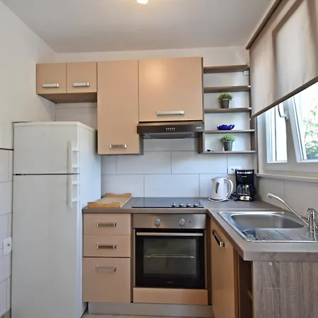 Apartment Apartman Star Nedescina